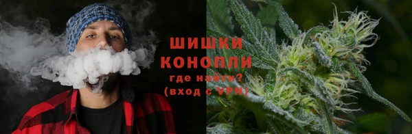 первитин Няндома