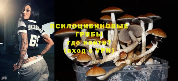 первитин Няндома